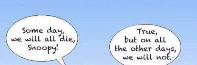 sammmyshapiro's profile banner image