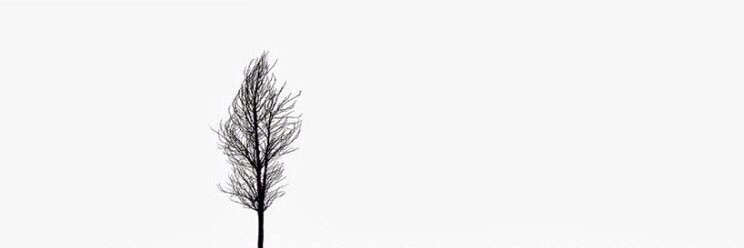 ribeey's profile banner image