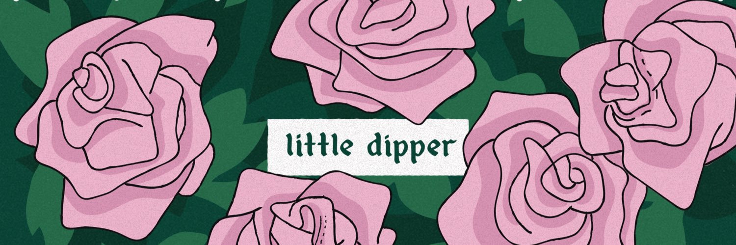 littledipper__'s profile banner image