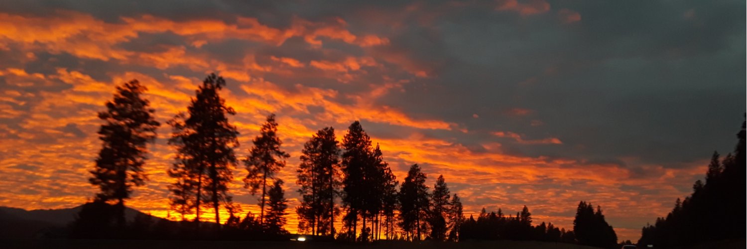 DrPeterMarshall's profile banner image