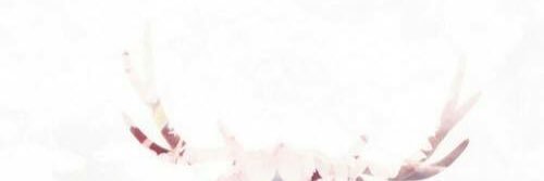 ขิงข่าตะไคร้ใบมะจูด 🥦 banner