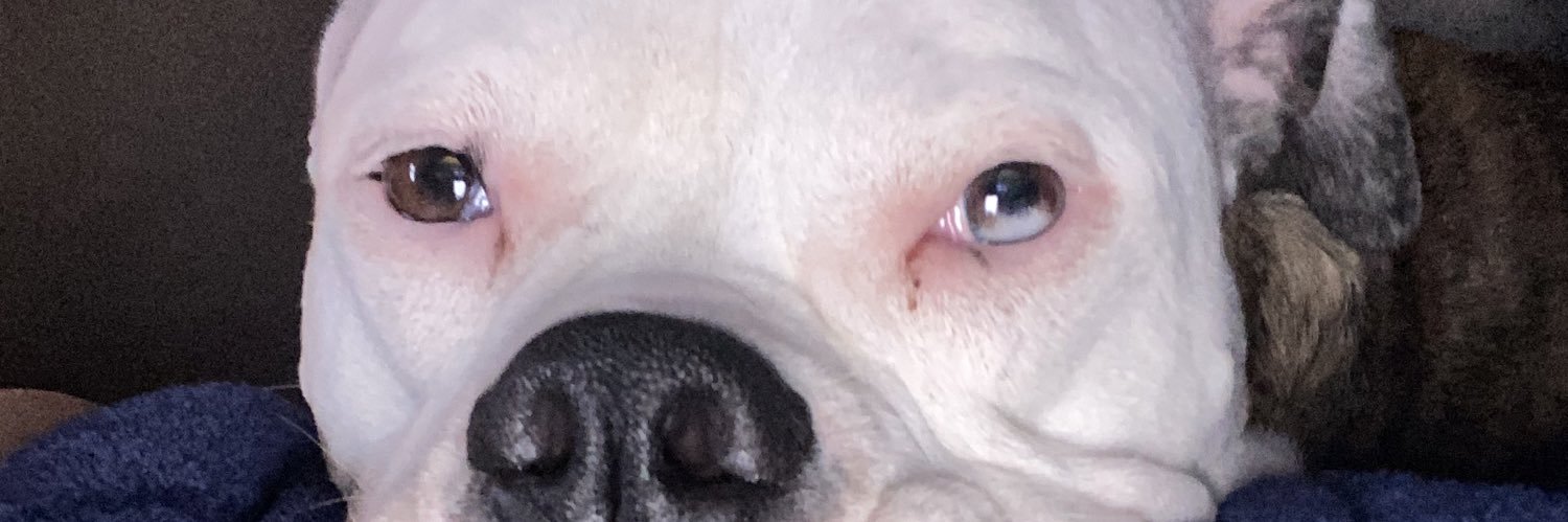 _KDOG1_'s profile banner image