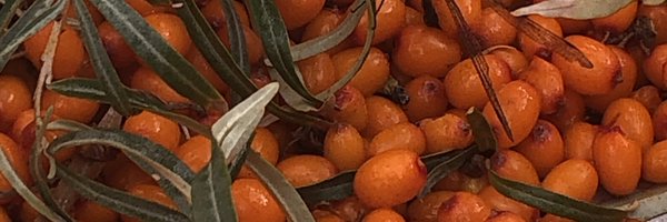 batlbolbat Profile Banner