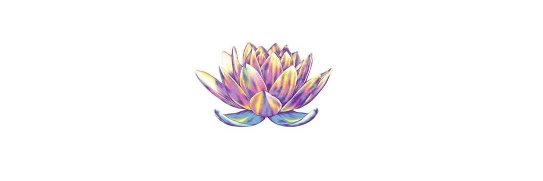 Pilopitu's profile banner image