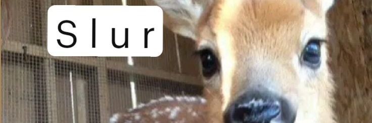 Worst Company🔞 banner