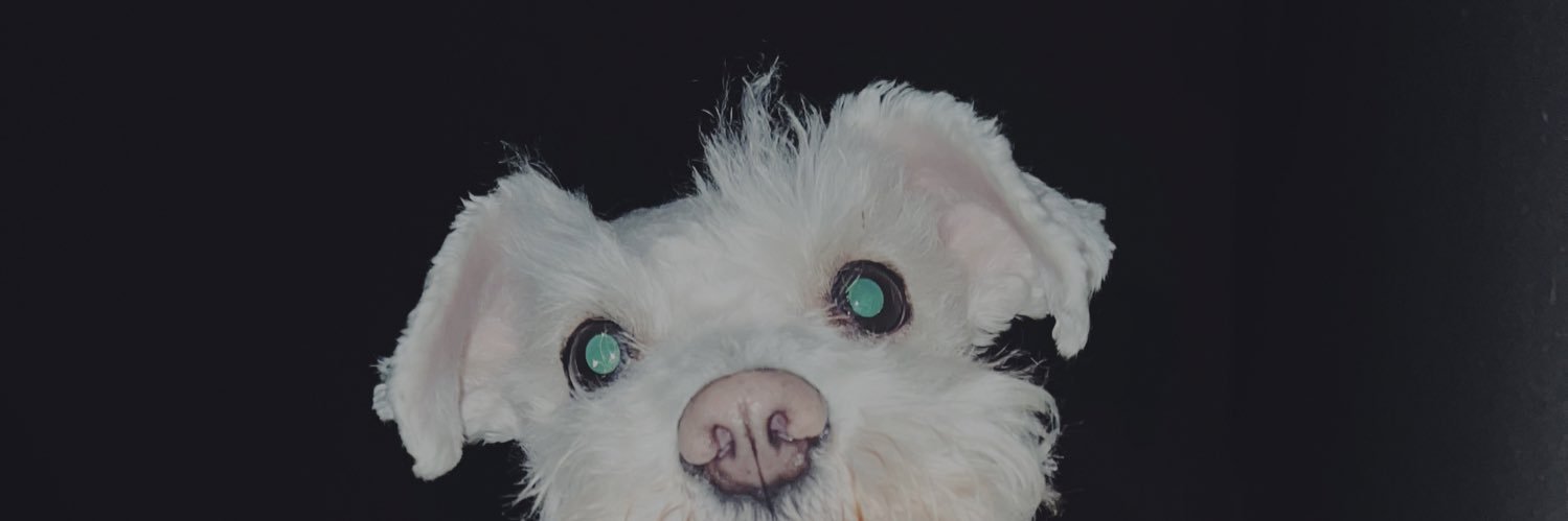 bflooo12's profile banner image