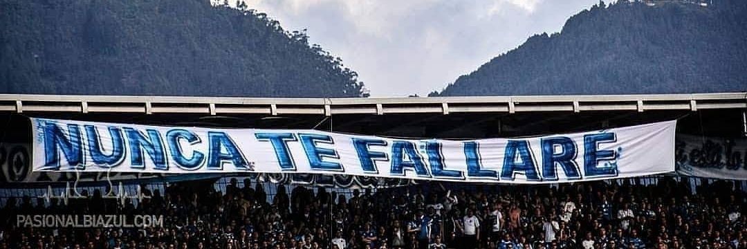 Stella. banner