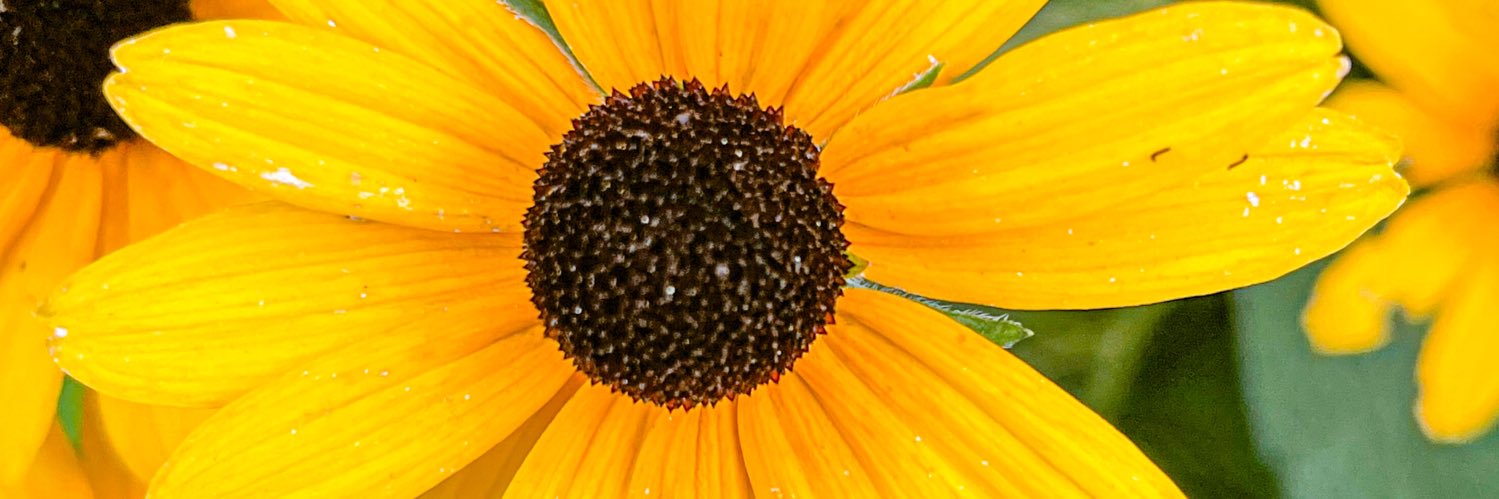 cshellxx's profile banner image