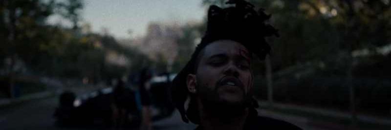 rosedawks's profile banner image
