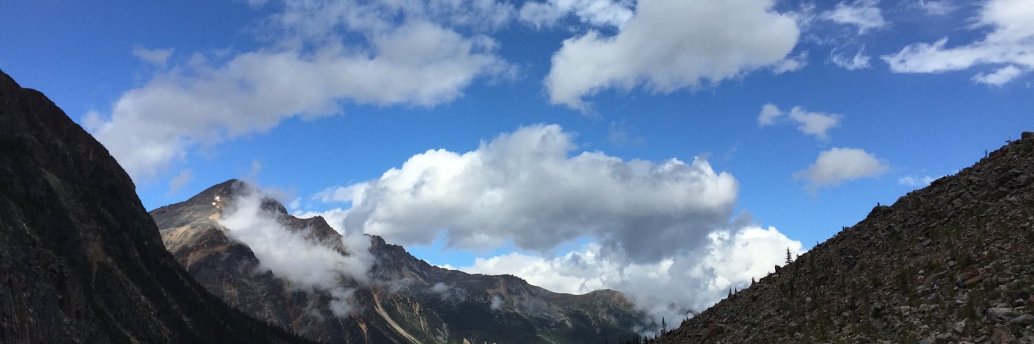 Leslie J. Robbins banner