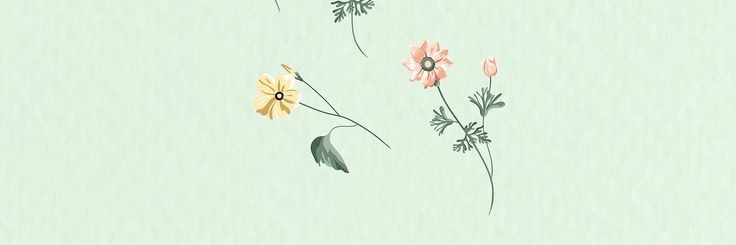 Macaaaaape's profile banner image