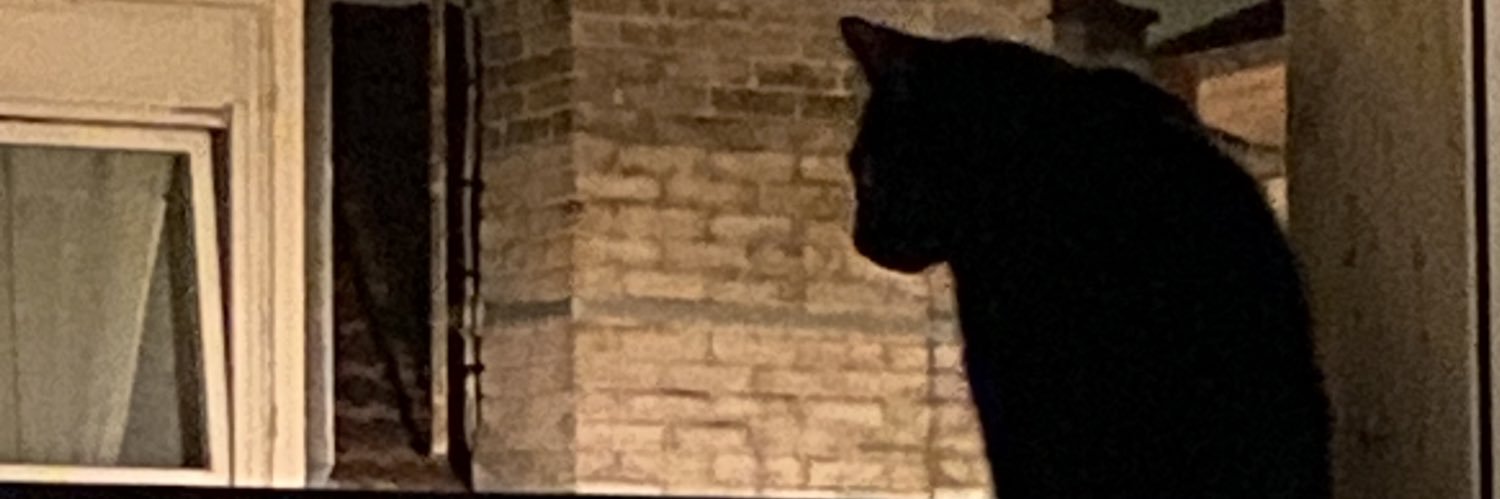 aliok1423's profile banner image