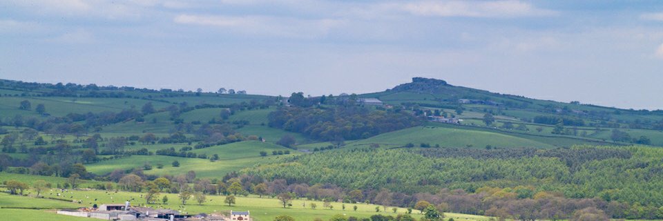 Pool CE Primary Sch banner
