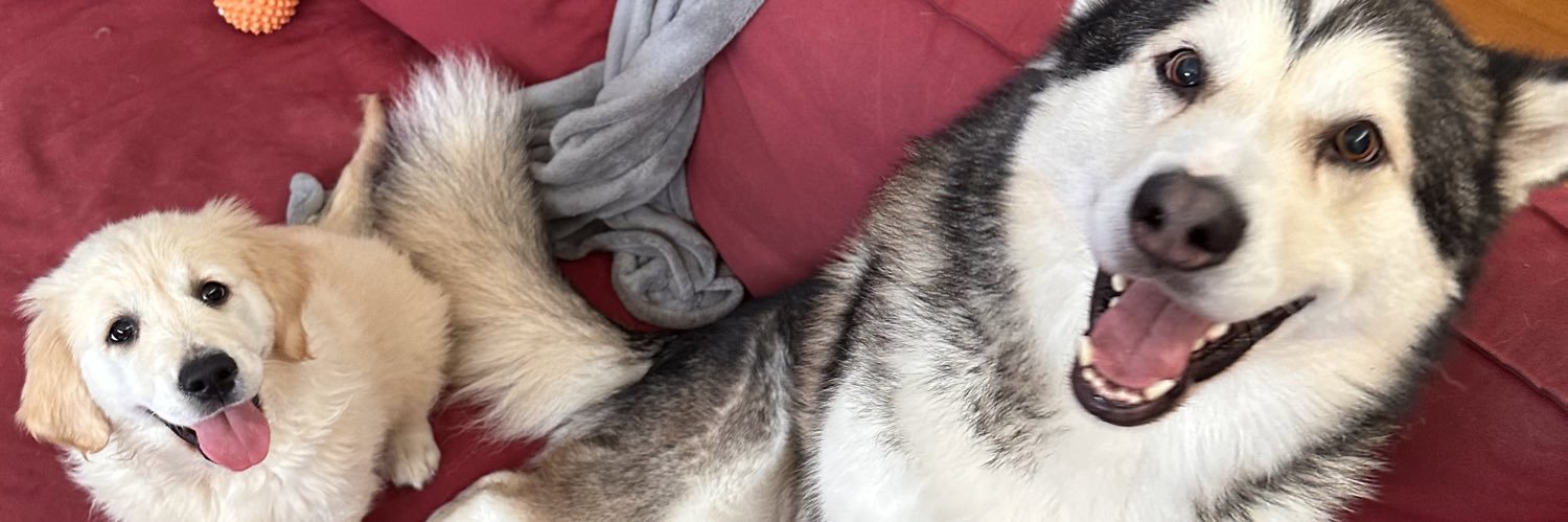 Luke Mitchell 🎮🐻 banner