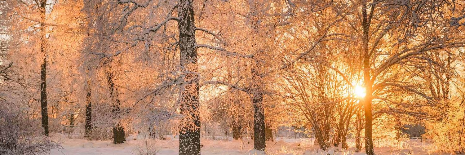 Siân 🏴󠁧󠁢󠁥󠁮󠁧󠁿 🇬🇧🏴󠁧󠁢󠁷󠁬󠁳󠁿🚜🇺🇲✝️🇮🇱 banner