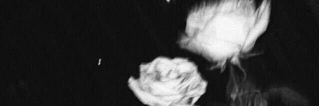 mitzimaeeee's profile banner image