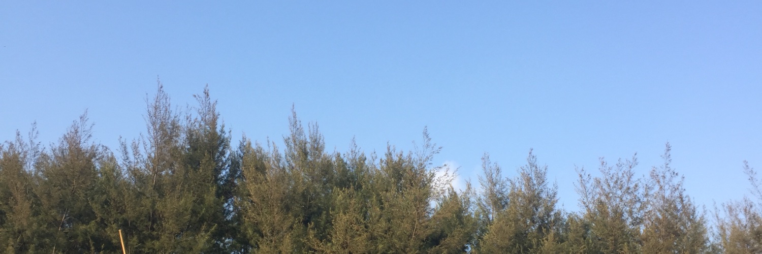 auuroro's profile banner image