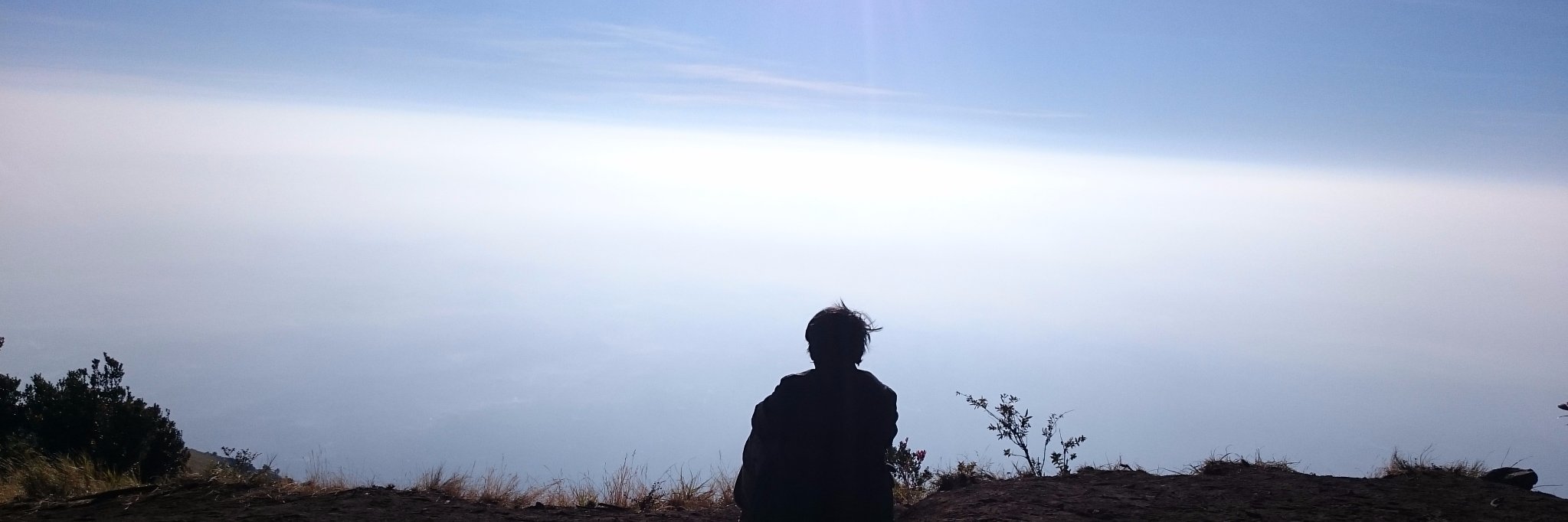 vinogheboy's profile banner image