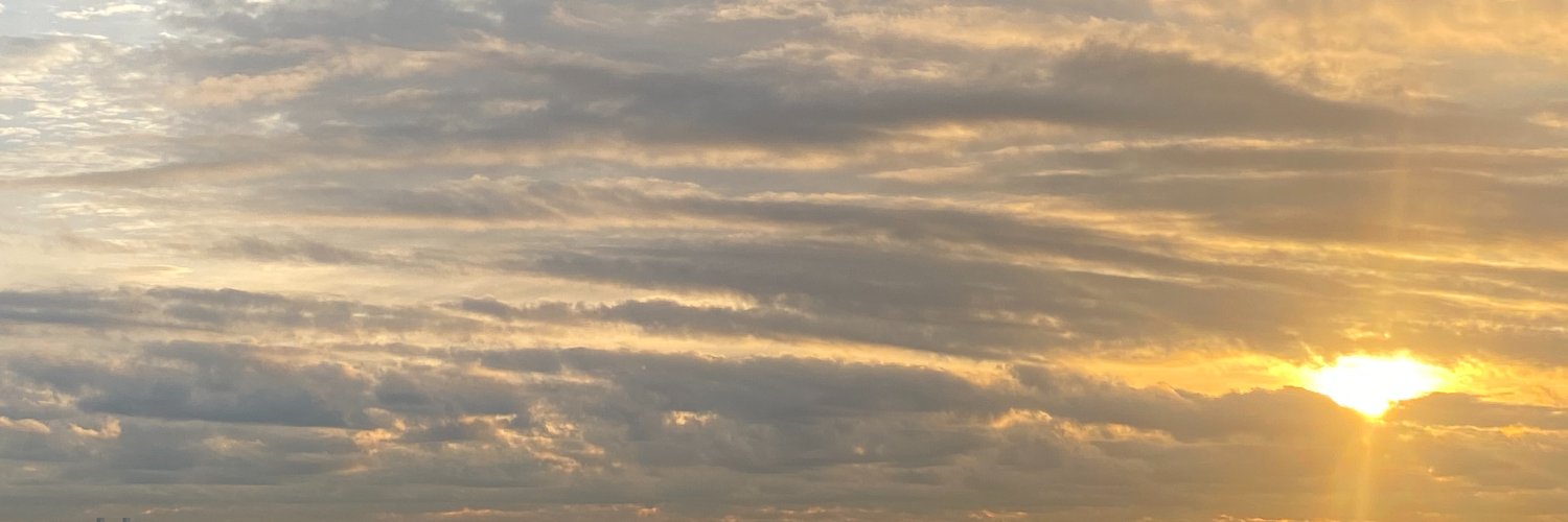 Mary Howard banner