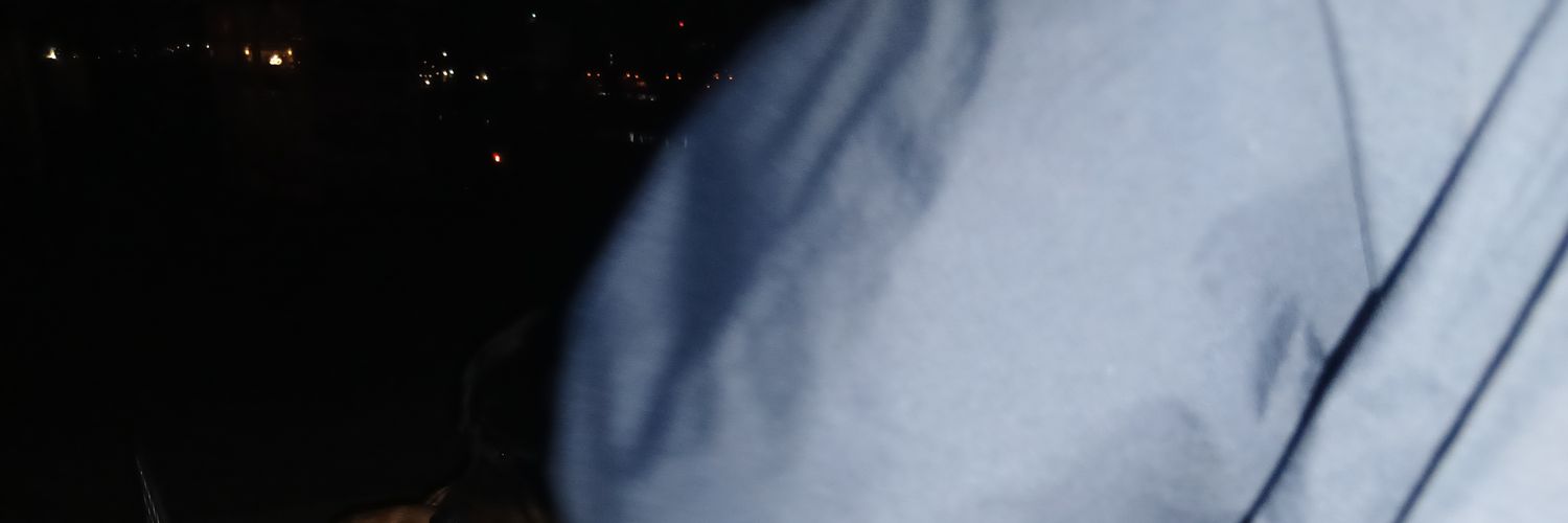 W I EB O N N E T banner