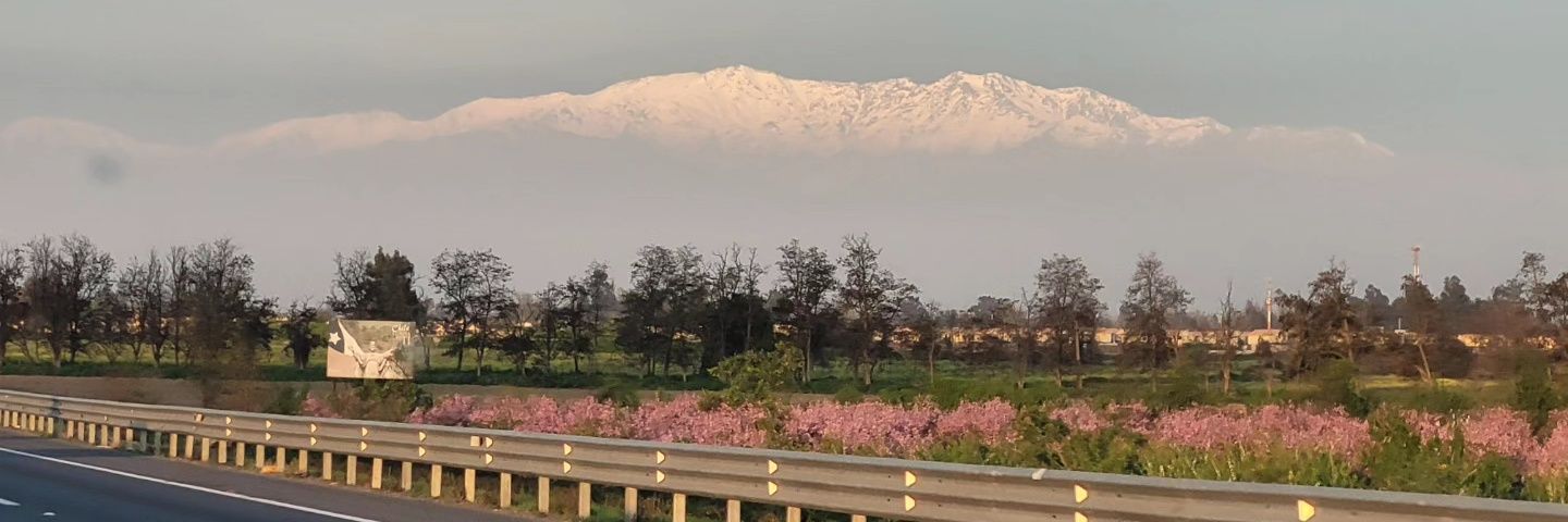 Catalilla 💃❤️💜💚 banner