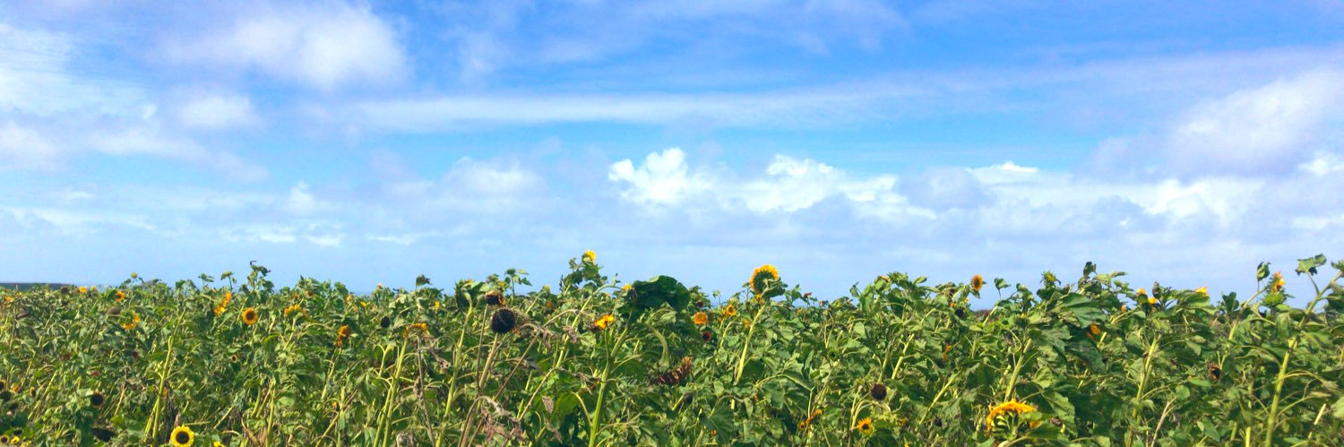 em_stroud's profile banner image