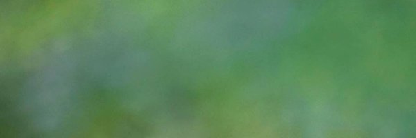 ChidobeAwuzie Profile Banner