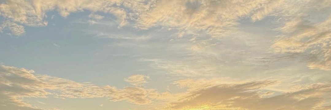 WM banner