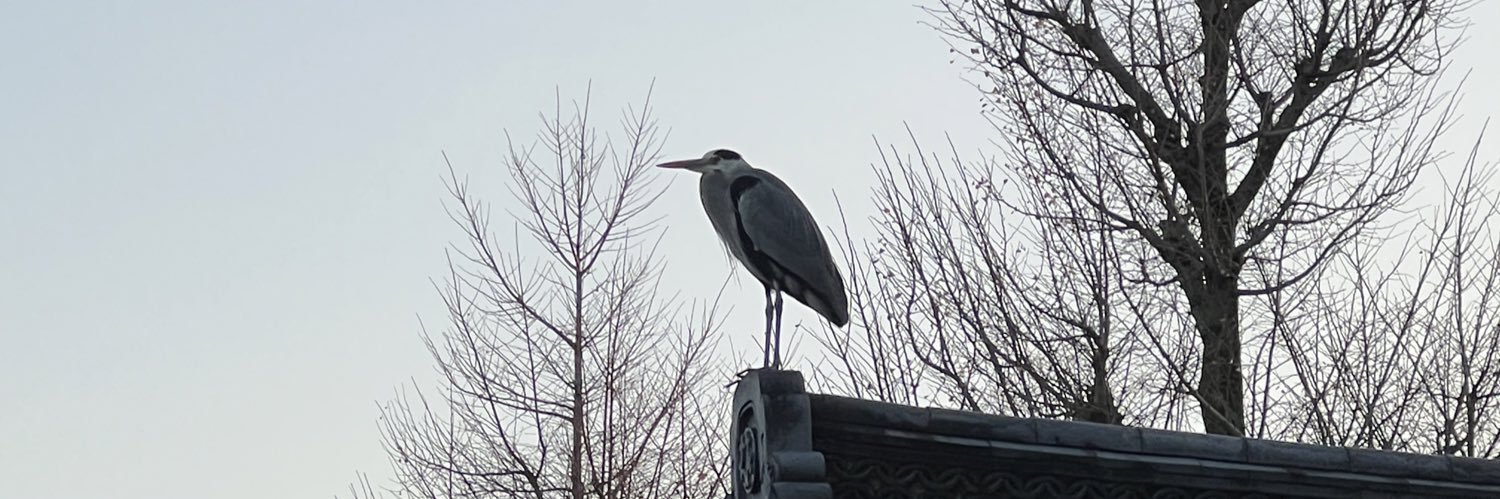 ハヤシカメラ📸✨スタジオ🏮京都下鴨茶論🦆 コスプレイベント➡️鴨コス🦆代表 banner