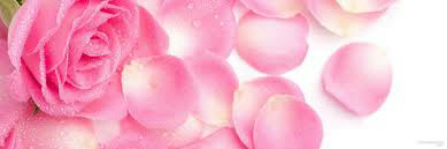 __rabichan's profile banner image