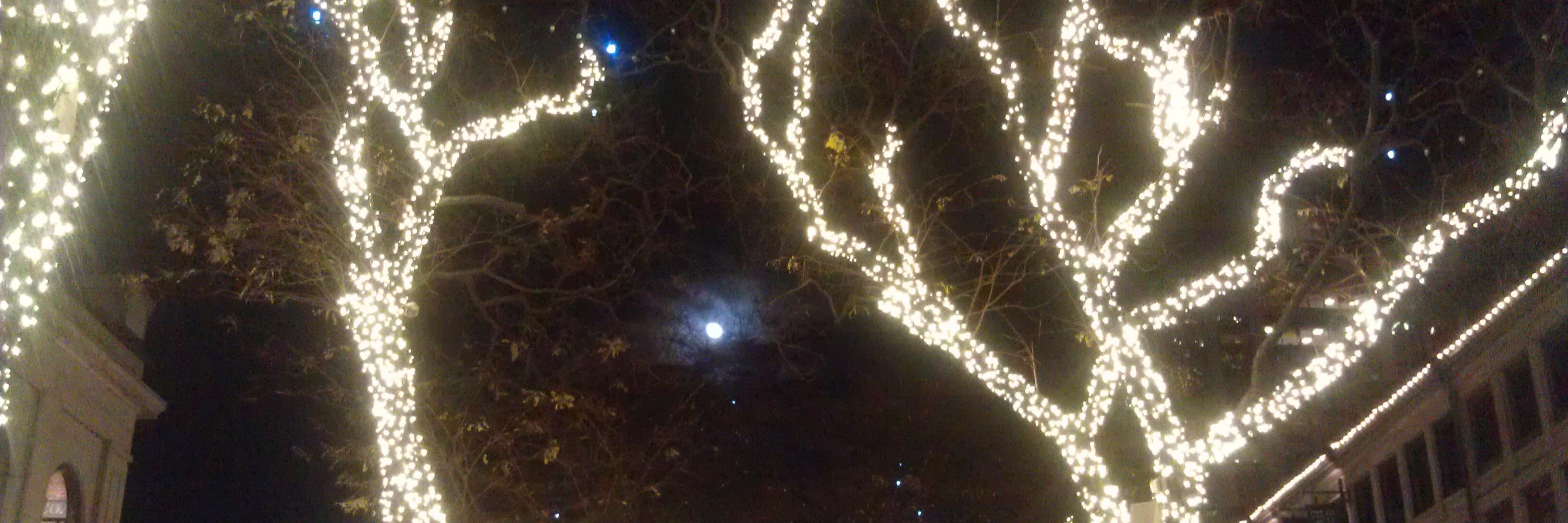 sleepyoldteddy's profile banner image