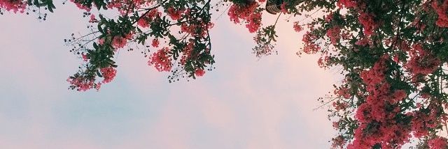 Callawaynoxid's profile banner image