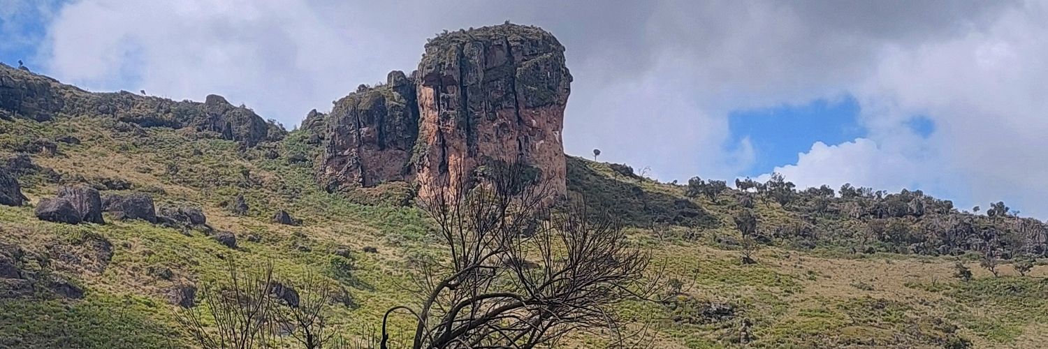 TheMmoja's profile banner image