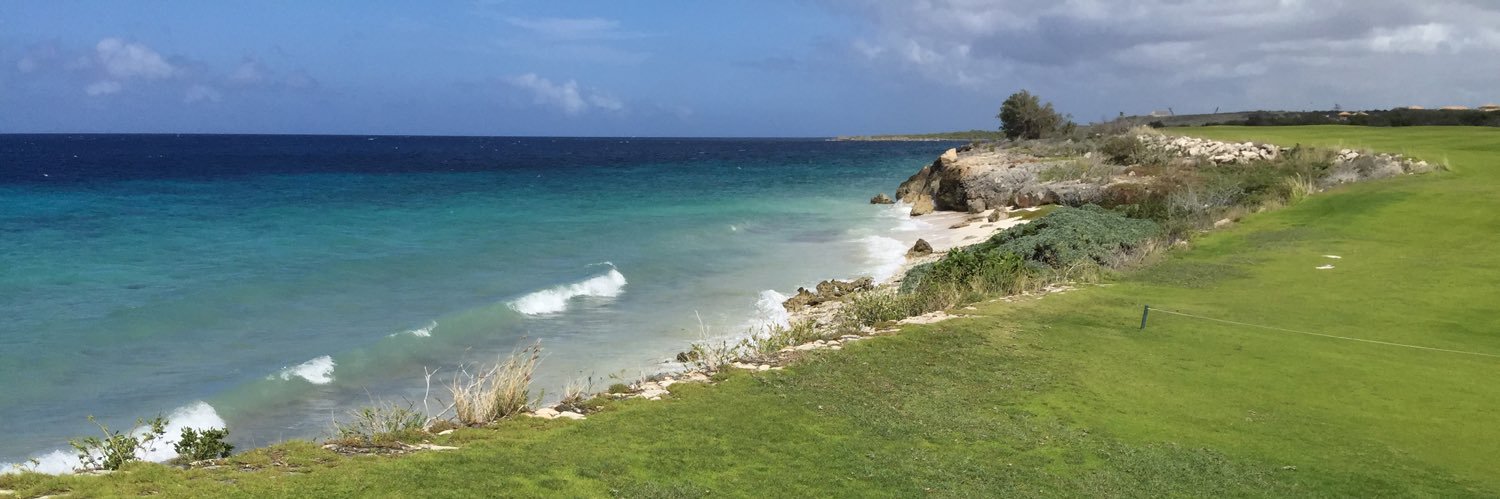 Ellen Soffin, MD, PhD banner