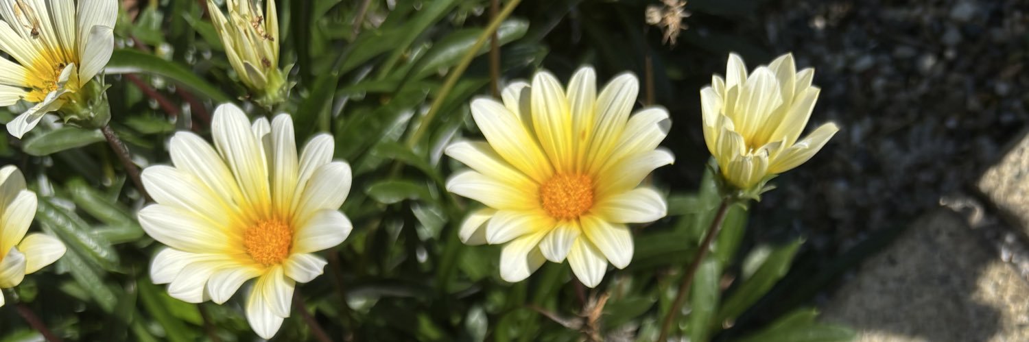 obatea12's profile banner image