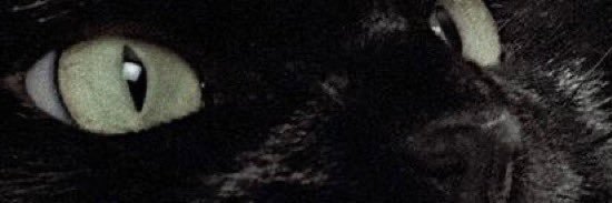 kurocat6432's profile banner image