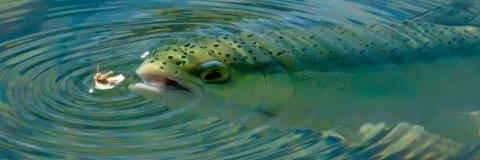 John1Gault's profile banner image
