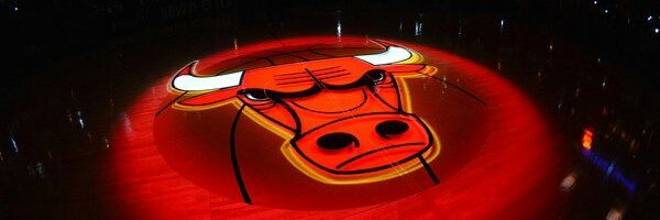 NeverGiveUp BullsFan banner