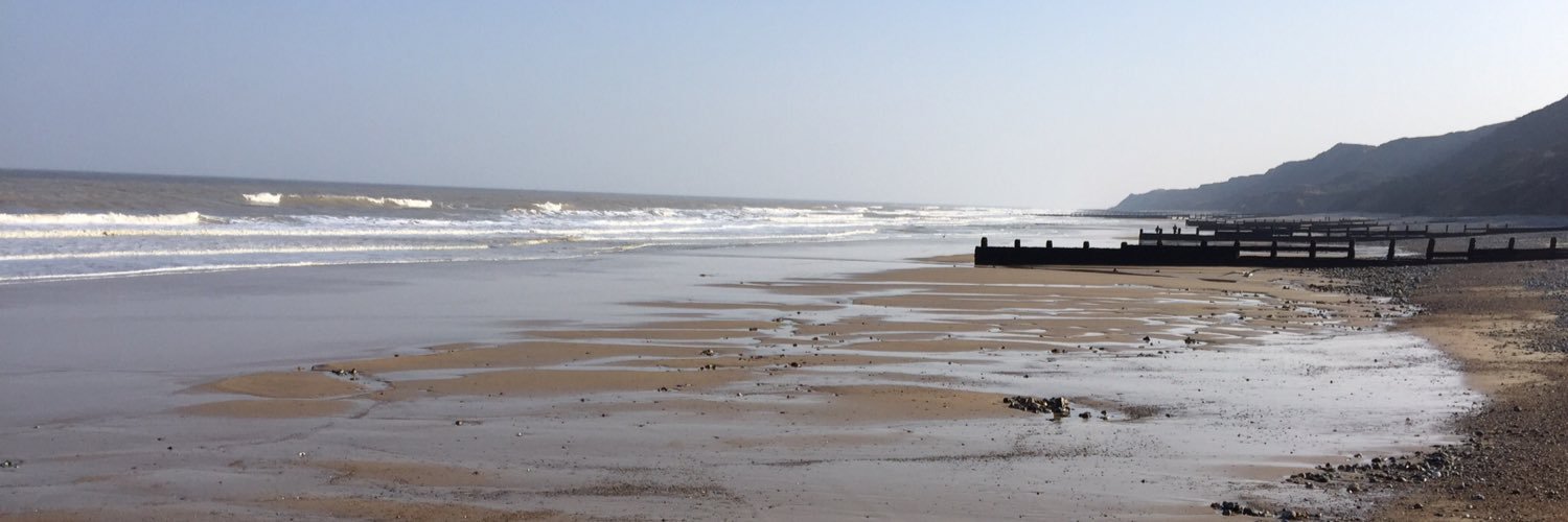 Deborah Weaver banner