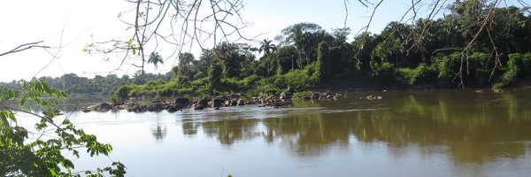 PontesPRM Profile Banner