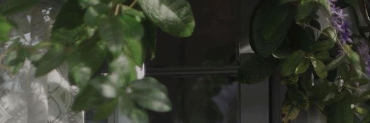 Smmem1's profile banner image