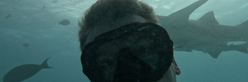 Yağmur Can Dadakçı banner