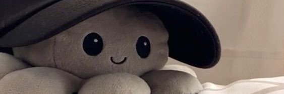 . banner