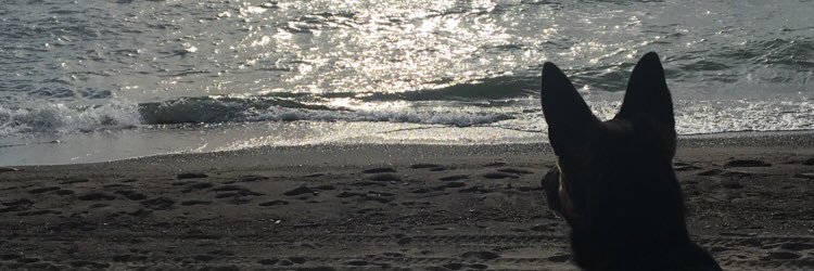mani_523's profile banner image