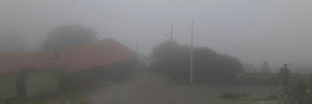 Alejandro Borges banner