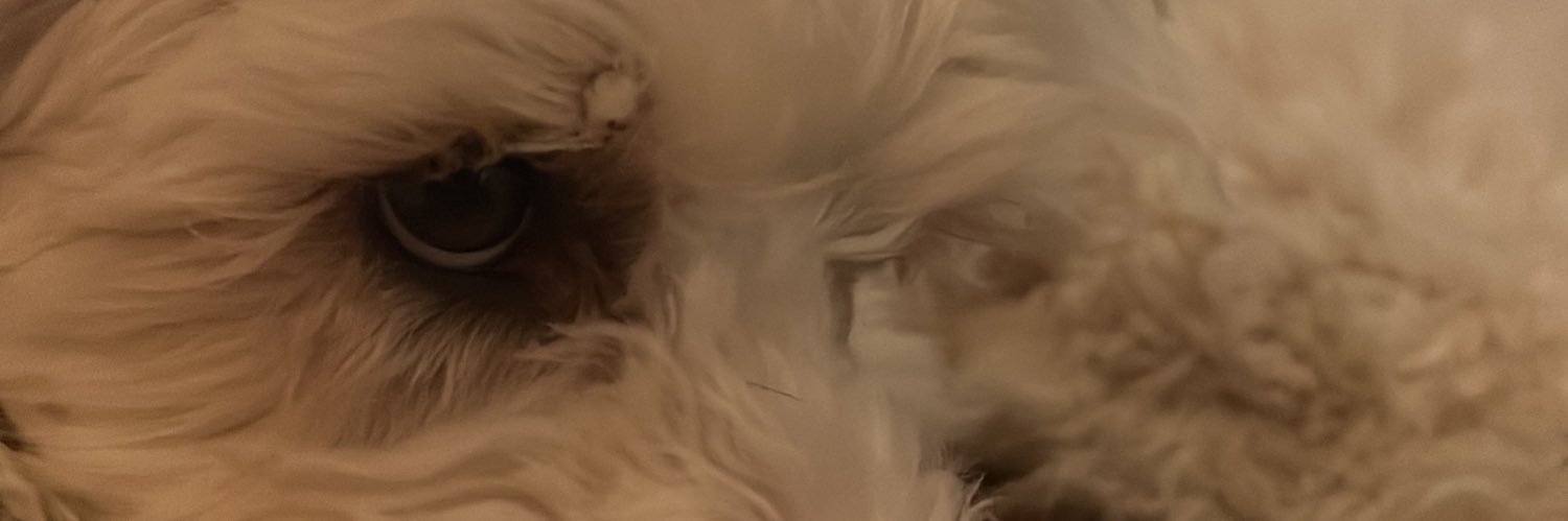 A_Arney_'s profile banner image