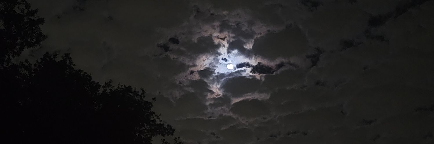 mackshea1001's profile banner image