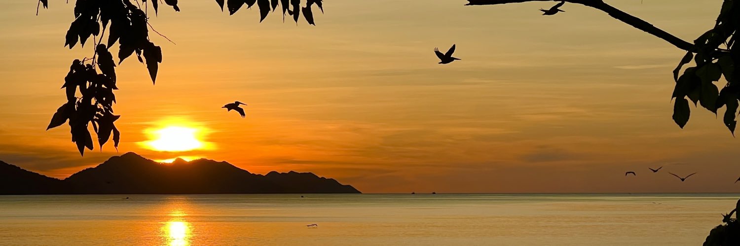 deborahpinto's profile banner image