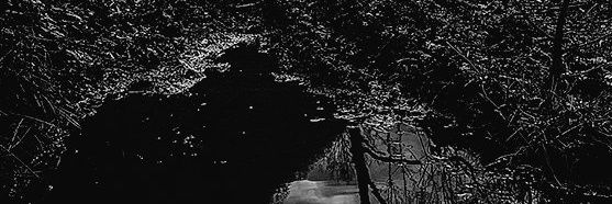 SorrowWaters's profile banner image