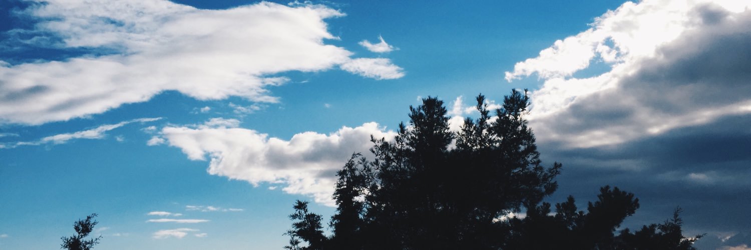 eylulgcevik's profile banner image